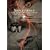 Apocalyptica: The Life Burns Tour [DVD] [Import]