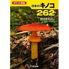 �|�P�b�g�}�� ���{�̃L�m�R262