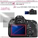 �v���K�[�h�`�e for Canon EOS 60D / EOS Kiss X5 �h�w�䐫�ی����t�B���� / DCDPF-PGEOS60D