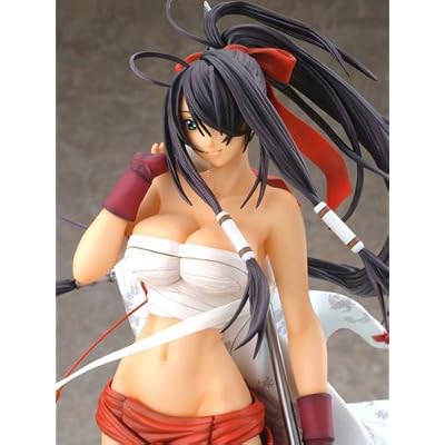 一騎当千 関羽雲長 コミック13巻表紙絵 (1/6スケールPVC塗装済み完成品) [アダルト]