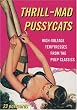 Thrill-Mad Pussycats: High-Voltage Temptresses from the Pulp Classics (Pulp Postcards)