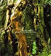 SUNDALAND~plants compilation