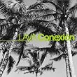 Conexion