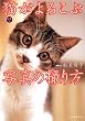 �V���� �L����낱�Ԏʐ^�̎B���