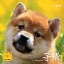 2010�q��[���](Yama-Kei Calendar)