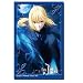 �u�V���[�h�X���[�u�R���N�V����HG (�n�C�O���[�h) Vol.199 Fate/Zero �w�Z�C�o�[�x