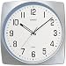 CASIO (�J�V�I) �|�����v �A�i���O IQ-49-8JF �A�i���O�^�C�v
