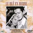 ���� [DVD]