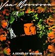 Sense of Wonder