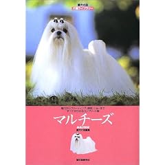 �}���`�[�Y (�����̗F ���탉�C�u�����[)
