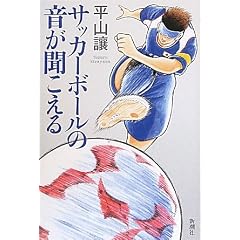 �T�b�J�[�{�[���̉�����������\�u���C���h�T�b�J�[�E�X�g�[���[