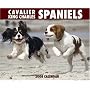 Cavalier King Charles 2008 Calendar