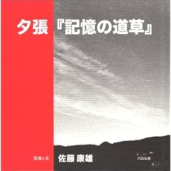 �[���w�L���̓����x