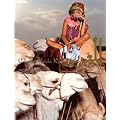 ���c�Җ��ʐ^�W�uMaroc�v