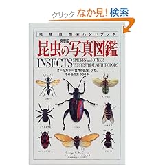 【クリックでお店のこの商品のページへ】昆虫の写真図鑑 (地球自然ハンドブック)