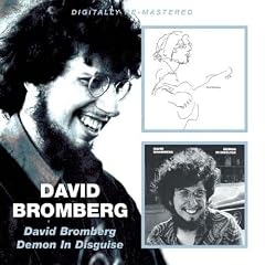 David Bromberg/Demon In Disguise