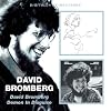 David Bromberg/Demon In Disguise