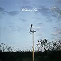 Cluster & Eno [12 inch Analog]