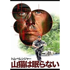 �R�L�͖���Ȃ� [DVD]