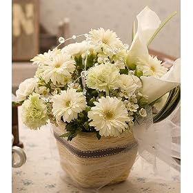 �y�̔��I���z�����z�B���ԉ�����@�H�ɗ��₩�ȋG�߂ɂ҂�����̃A�����W�����g�B���^�ȕ��͋C�͌����̂��j���ɂ����X�X���y���������z�C�m�Z���X�i�K�[�x���A�����W�����g�j [���������E�����z�B]�@ �a�����E�L�O���E���j���E�����j���E���������E�����}��E�����j������̉Ԃ̔z�B��