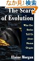 The Scars of Evolution: What Our Bodies Tell Us About Human Origins