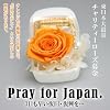 �y�����{��k�Ёz�`�����e�B�[���[�Y����^�I�����W�F�̃o���i�v���U�[�u�h�t�����[�j�Ŕ�Ў҂̕��X�̗͂Ɂc