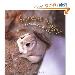 �������K�ɂ������� (Seiseisha minibook)
