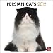 Persian Cats 2012 Calendar
