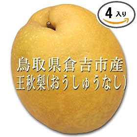 �y�Y�n�����z���挧�q�g�s�Y�y���H���z�s�������イ�Ȃ��t5kg�y4~10�ʁz