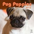 Pug Puppies 2012 Calendar