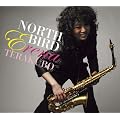 NORTH BIRD