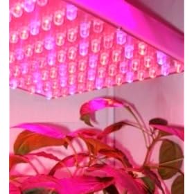 ���ق̃��P�O����LED�P�P�Q���I���k�͔|��؍H��@�v����p