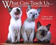 What Cats Teach Us 2004 Calendar