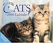 Cats: 2006 Mini Day-to-Day Calendar