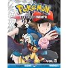 Pokmon Black and White, Vol. 2
