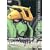 �@����m�K���_�� ZZ Part-3 �\ �������A���{�b�N�X�� [DVD]