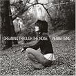 Dreaming Through the Noise