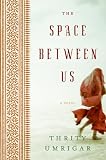 [Book] The Space Between Us