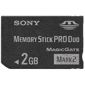 [�C�O�Ńp�b�P�[�W]SONY �������[�X�e�B�b�N Pro Duo MS-MT2G 2GB