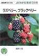 ���Y�x���[�A�u���b�N�x���[ (NHK��̉��|�悭�킩��͔|12����)