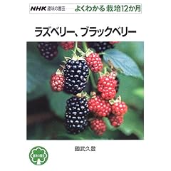 ���Y�x���[�A�u���b�N�x���[ (NHK��̉��|�悭�킩��͔|12����)