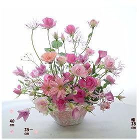 ����������*����������9��y���͂����w�艺���������͉z�a�����L�O�����������t�����[�o�X�P�b�g�A�����W�����g