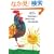 Rooster's Off to See the World (Classic Board Book)