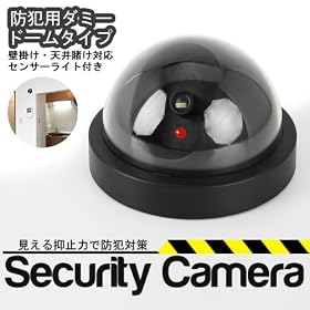�h�� �֗� �_�~�[ �h�[���^ �Z�L�����e�B�[ �J����