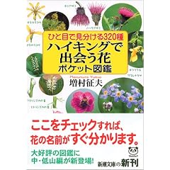 �n�C�L���O�ŏo��ԃ|�P�b�g�}�Ӂ\�ЂƖڂŌ�������320�� (�V������)