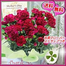 ��̓��M�t�g �J�[�l�[�V���� �� �T���� �y���������z�y�����s�z�y��Вn�Ԓd���v���W�F�N�g�Ώۏ��i�z