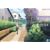 CLANNAD 5 (��������) [DVD]