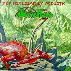 Not Necessarily Acoustic