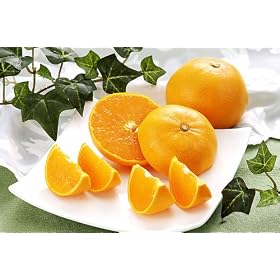 �ق�܂��� ���Ƃ� (���k��) L-3L�T�C�Y ��5kg
