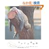 ���₷�ݓ�����---����O�Ɍ��������������̐Q��